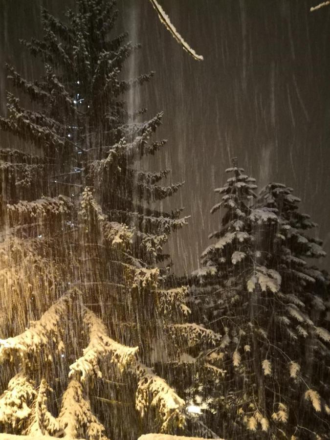 Appartamento Berghaus Glockner, Niedermeyer Heiligenblut Esterno foto