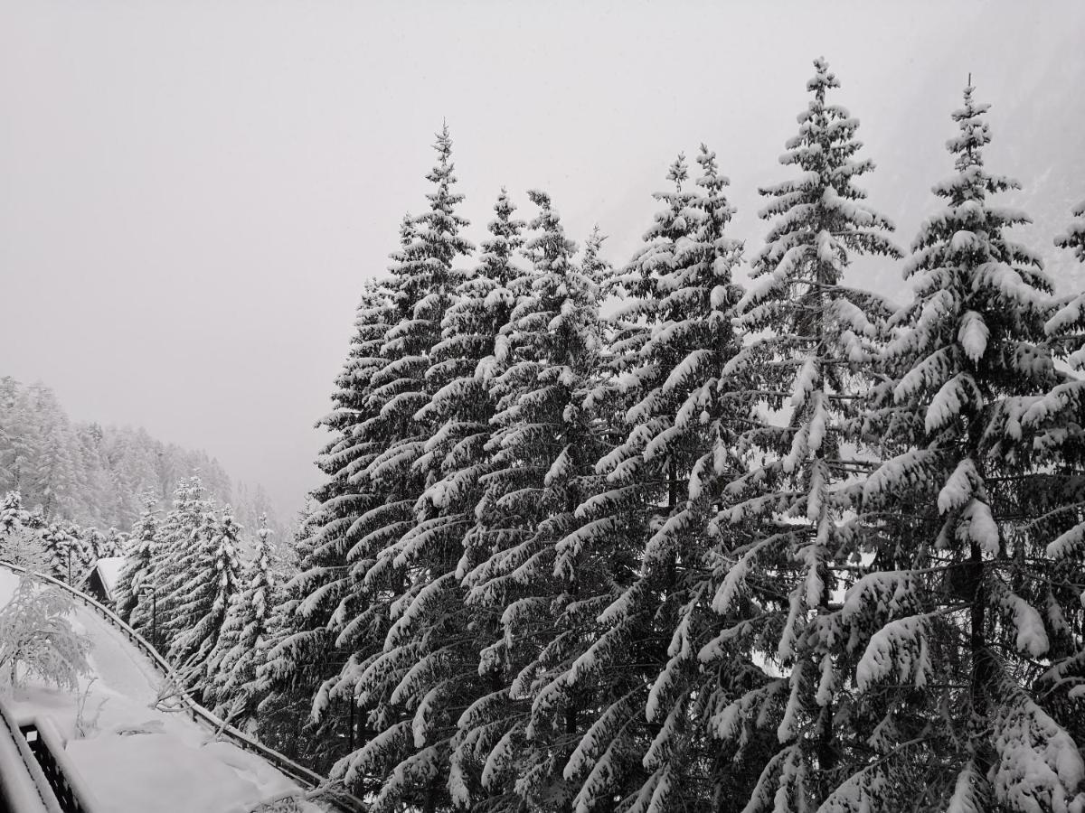 Appartamento Berghaus Glockner, Niedermeyer Heiligenblut Esterno foto