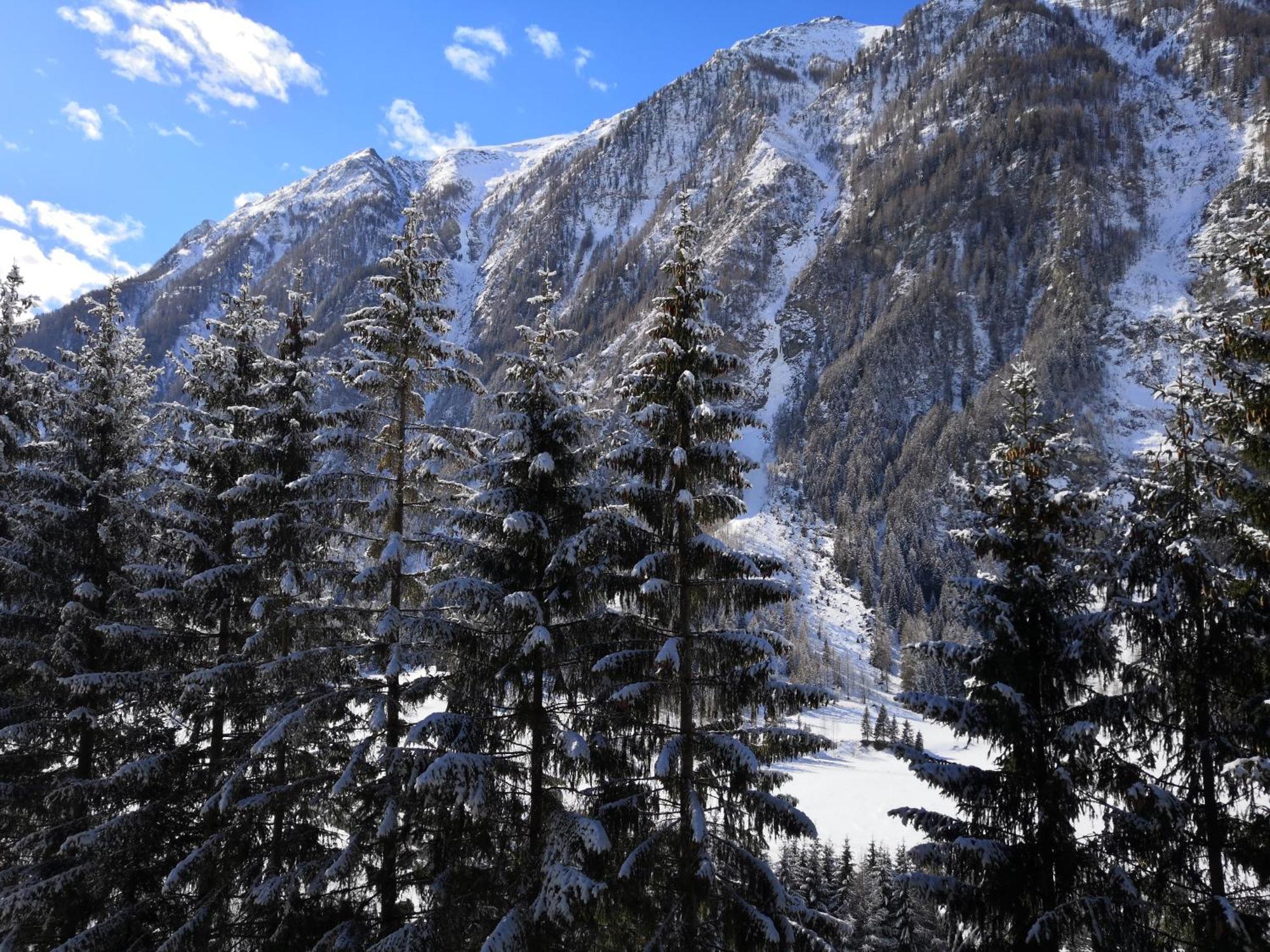 Appartamento Berghaus Glockner, Niedermeyer Heiligenblut Esterno foto