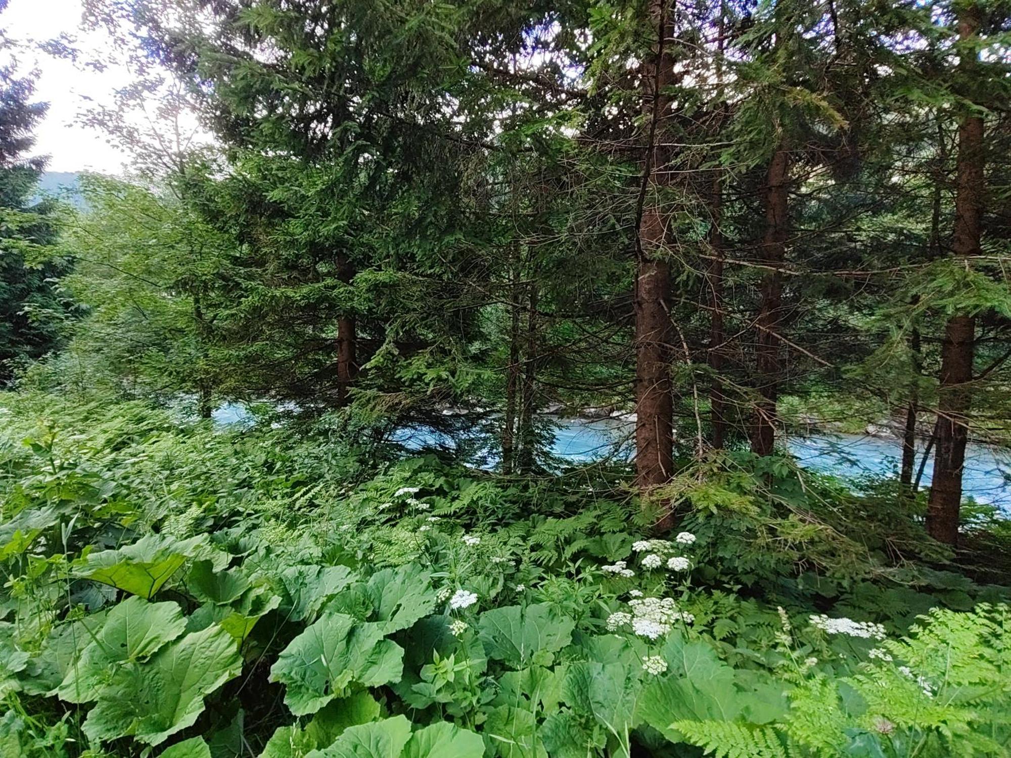 Appartamento Berghaus Glockner, Niedermeyer Heiligenblut Esterno foto