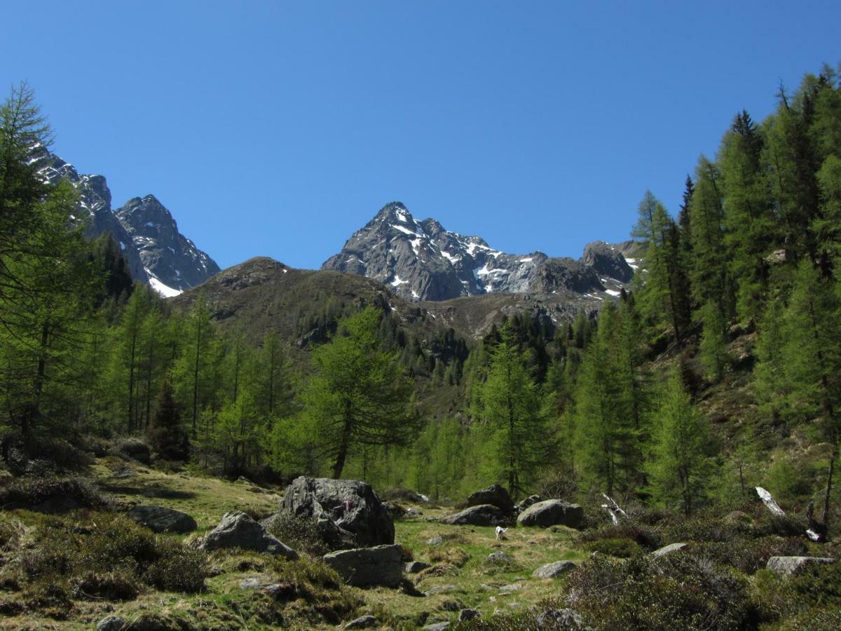 Appartamento Berghaus Glockner, Niedermeyer Heiligenblut Esterno foto